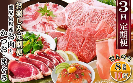 定期便3回配送　お楽しみ定期便(鹿児島県産お肉とかつお・まぐろ) EE-6015_肉 ハム 豚肉   肉 ステーキ 牛肉 ビーフステーキ  肉 焼肉 牛肉 やきにく ヤキニク バーベキュー  肉 黒毛和牛 牛肉   肉 しゃぶしゃぶ 豚肉 豚しゃぶ  魚介・海産物 カツオ 鮮魚 かつお 鰹  魚介・海産物 マグロ 鮮魚 まぐろ 鮪  定期便 定期便  _【配送不可地域：離島】【1491146】