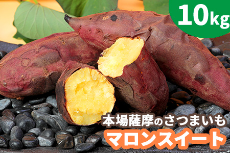 【予約受付中】本場鹿児島さつまいも 桜山ファーム限定 マロンスイート10kg 銀座で人気【※2021年10月上旬から発送】 BB-51