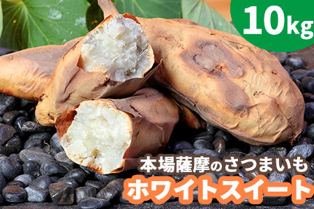 【予約受付中】【旬の味覚】 本場鹿児島 さつまいも【ホワイトスイート】10kg 希少価値 やきいも【※2021年10月上旬から発送】 BB-52
