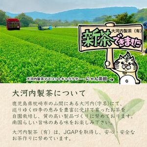 【新茶】新茶80g×5本 深蒸し茶 鹿児島県 枕崎産 産地直送 BB-214【1167092】