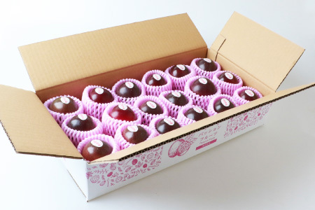 【先行受付】トロピカルパッションフルーツ約1.5Kg A3-50 【発送は2026年6月中旬予定】_果物・フルーツ くだもの_【配送不可地域:離島】【1166520】