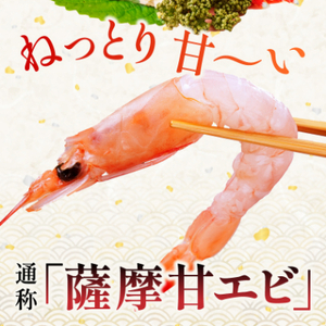 【薩摩の甘エビ】大きいサイズ　天然タカエビ500g　A1-10_魚介・海産物 甘エビ エビ あまえび 甘海老_【配送不可地域：離島】【1524580】