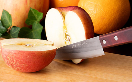 薩摩守(ペティナイフ)11cm　C0-61_雑貨・日用品 包丁 キッチン用品 _【配送不可地域：離島】【1514612】