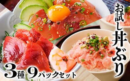 お試し丼ぶり3種9パックセット　A0-63_魚介・海産物 カツオ 鮮魚 かつお 鰹  魚介・海産物 マグロ 鮮魚 まぐろ 鮪_【配送不可地域：離島】【1505334】