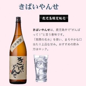 鹿児島限定販売の焼酎 3銘柄 1800ml×3本 B5-3_酒・アルコール 芋焼酎 焼酎 _【配送不可地域：離島】【1525521】