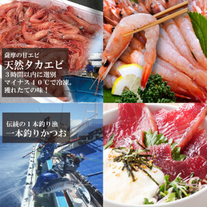 ZIP!で紹介!海鮮丼セット 4種 天然タカエビ (薩摩 甘エビ )鰹・鮪丼  刺身で  A0-33_魚介・海産物 甘エビ エビ あまえび 甘海老  魚介・海産物 カツオ 鮮魚 かつお 鰹  魚介・海産物 マグロ 鮮魚 まぐろ 鮪  魚介・海産物   _【配送不可地域：離島】【1532502】