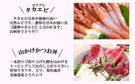 ZIP!で紹介!定期便3回配送　海鮮丼セット 天然タカエビ・鰹・まぐろ・山かけ丼　OO-0001_魚介・海産物  エビ えび 海老  魚介・海産物 カツオ 鮮魚 かつお 鰹  魚介・海産物 マグロ 鮮魚 まぐろ 鮪  定期便 定期便  _【配送不可地域：離島】【1532608】