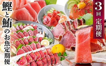 定期便3回配送　鰹とまぐろのお魚定期便　QQ-0005_魚介・海産物 カツオ 鮮魚 かつお 鰹  魚介・海産物 マグロ 鮮魚 まぐろ 鮪  定期便 定期便  _【配送不可地域：離島】【1543247】