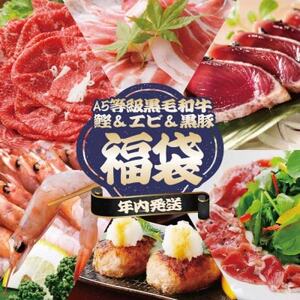 【年内発送】福袋 A5ランク黒毛和牛・タカエビ(薩摩甘エビ)・黒豚・カツオ 贅沢詰合わせ B8-24_魚介・海産物 うなぎ  ウナギ 鰻  肉 黒毛和牛 牛肉   肉 しゃぶしゃぶ 豚肉 豚しゃぶ  肉 ハンバーグ 豚肉   魚介・海産物 カツオ 鮮魚 かつお 鰹_【配送不可地域：離島】【1580561】