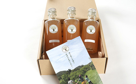 【手作り生姜シロップ(180ml×3瓶)無添加・栽培期間中 農薬不使用・新生姜 A3-34F【1166380】