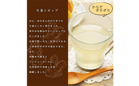 【手作り生姜シロップ(180ml×3瓶)無添加・栽培期間中 農薬不使用・新生姜 A3-34F【1166380】