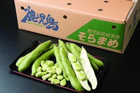 AA-93 鹿児島 かごしまそら豆 そらまめ 2kg(箱入り)