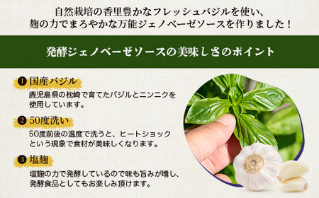 発酵ジェノベーゼソース(150g×2個)【鹿児島県枕崎産 バジル使用】A2-17_調味料 _【配送不可地域:離島】【1611632】