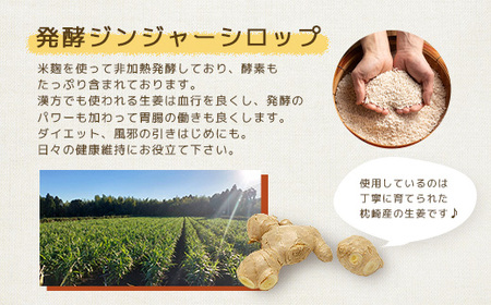 ジンジャーシロップ(150g×4個)【非加熱発酵】【優しい甘さの生姜シロップ】【米入り】B3-86_調味料   _【配送不可地域：離島】【1611648】
