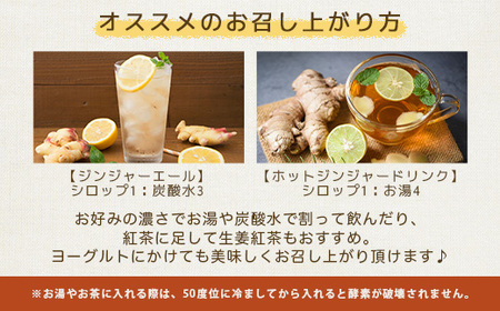 ジンジャーシロップ(150g×4個)【非加熱発酵】【優しい甘さの生姜シロップ】【米入り】B3-86_調味料   _【配送不可地域：離島】【1611648】