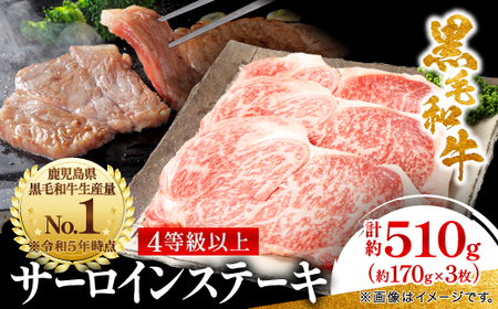 【鹿児島県産】黒毛和牛 サーロインステーキ 約510g (約170g×3枚)(枕崎市) B3-89_肉 ステーキ 牛肉 ビーフステーキ 肉 黒毛和牛 牛肉 _【配送不可地域:離島】【1616196】