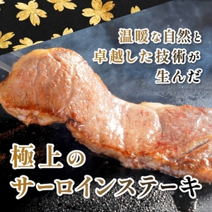 【鹿児島県産】4等級以上黒毛和牛 サーロインステーキ 360g(180g×2)(枕崎市)A8-109_肉 ステーキ 牛肉 ビーフステーキ  肉 黒毛和牛 牛肉 _【配送不可地域：離島】【1616199】