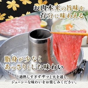 黒毛和牛 赤身ももスライス 600g(枕崎市) A3-371_肉 黒毛和牛 牛肉 _【配送不可地域:離島】【1616206】