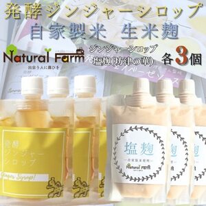 発酵ジンジャーシロップ＆塩麹　各3パックセット B8-25_調味料   _【配送不可地域：離島】【1619415】