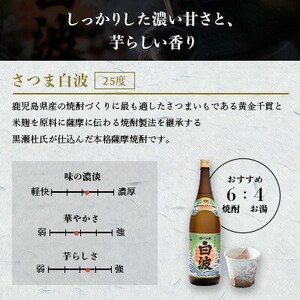 【毎月定期便】枕崎の定番焼酎【さつま白波】1800ml×2本セット DD0-0011 全3回【配送不可地域：離島】【4068379】