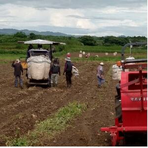 【2ヵ月毎定期便】【さつま白波】25度(1800ml)6パックセット JJ15-0006 全4回【配送不可地域：離島】【4069208】