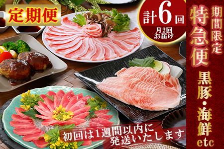 NN-0012 定期便(月に2回 計6回)特急便(黒豚・海鮮etc)期間限定