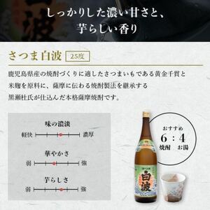 【毎月定期便】薩摩酒造の定番の焼酎【さつま白波】1800ml×2本セット DD0-0020 全3回【配送不可地域：離島】【4070738】