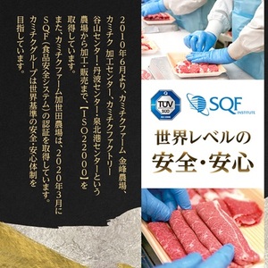 国産黒毛和牛小腸(上ホルモン)800g(200g×4パック)(枕崎市) Z0‐57【配送不可地域：離島】【1650522】