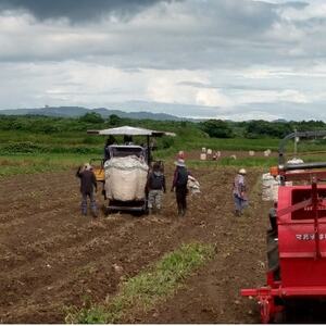 【毎月定期便】本場鹿児島限定の焼酎【南之方】900ml×3本セット DD0-0028 全3回【配送不可地域：離島】【4071566】