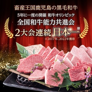 【発送月固定定期便】黒毛和牛食べつくし定期便(2.4kg)(枕崎市) HH5-0002全6回【配送不可地域：離島】【4072152】