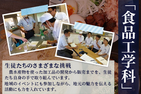 水産高校生考案　枕崎かつおラーメン2人前×4袋　和風しお味　液体スープ付　コンパクトサイズV0-4【1658461】