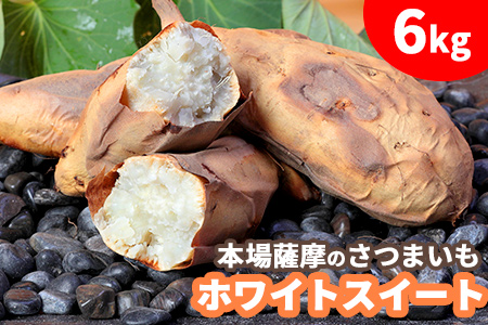 【予約受付中】本場鹿児島さつまいも 【ホワイトスイート】6kg 桜山ファーム限定商品【※2021年10月上旬から発送】 AA-269