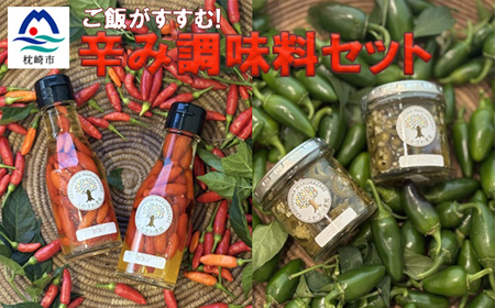 ご飯がすすむ!辛み調味料セット Z0-58【配送不可地域：離島】【1678463】