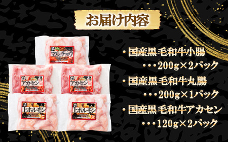 国産黒毛和牛シロホルモンセット 840g A3-383【配送不可地域:離島】【1694678】