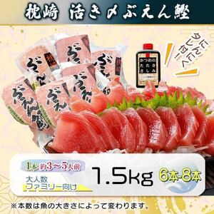 枕崎ぶえん鰹(活き〆血合抜き刺身)1.5kg A7-21【配送不可地域:離島】【1720215】