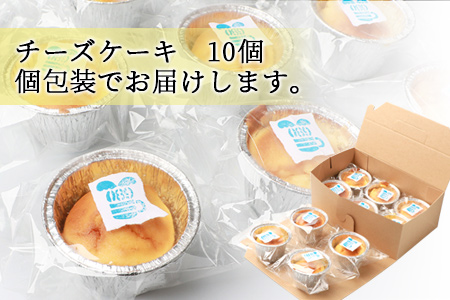 無添加 厳選素材の手づくりチーズケーキ 10個 添加物 着色料不使用 鹿児島県枕崎市 ふるさと納税サイト ふるなび