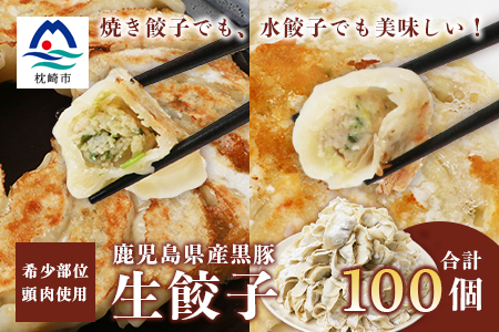 【ねぎ塩付き】鹿児島手づくり黒豚生餃子&野菜たっぷり生餃子 20個×5パック【合計100個】 AA-440