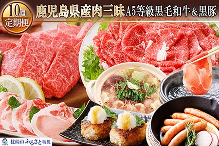 GG-0028 定期便(1年で10回配送)鹿児島県産肉三昧(A5黒毛和牛・黒豚etc)