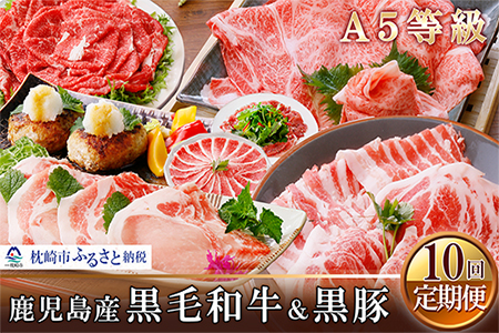 GG-0029 定期便(1年で10回配送)A5等級黒毛和牛・黒豚