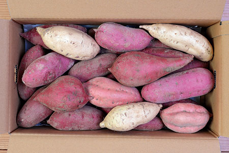 予約受付中 本場鹿児島さつまいも ５品種 食べ比べ 彩りセット10kg 21年10月上旬から発送 142 鹿児島県枕崎市 ふるさと納税サイト ふるなび