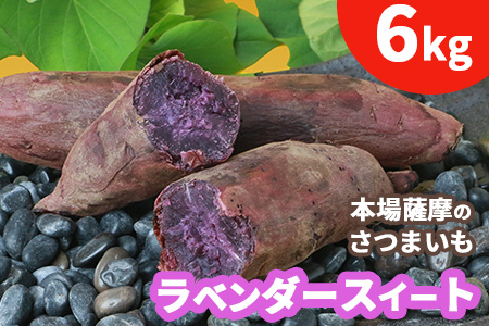 予約受付中 本場鹿児島さつまいも ラベンダースイート 6kg 桜山ファーム 21年10月上旬から発送 448 鹿児島県枕崎市 ふるさと納税サイト ふるなび