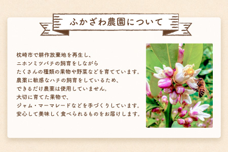 敬老の日 ふかざわ農園の ジャム マーマレード 4種バラエティセットb 140g 4瓶 果実たっぷり 手づくり ギフト 584 鹿児島県枕崎市 ふるさと納税サイト ふるなび