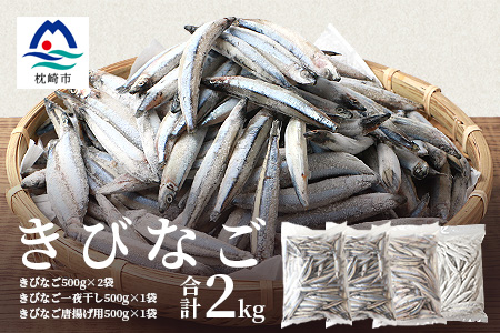 枕崎産 きびなご 合計2kg 冷凍 一夜干し 唐揚げ用 詰め合わせ 鹿児島特産 608 鹿児島県枕崎市 ふるさと納税サイト ふるなび