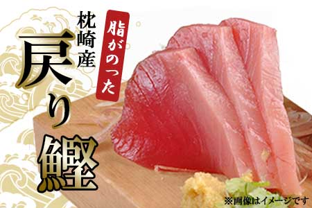 AA-30 程よい脂ののった戻り鰹