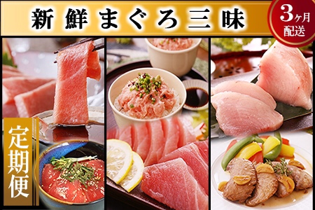 DD-0004 定期便(3ケ月)マグロ三昧