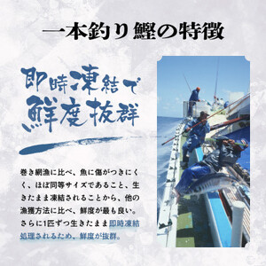 脂ののった戻り鰹＆活き〆かつお(枕崎ぶえん鰹) 合計1Kg タレ付 A3-133【配送不可地域：離島】【1166319】