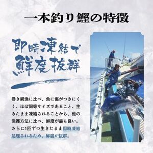 枕崎ぶえん鰹　(活き〆かつお)血合い抜き刺身 1kg AA-977【配送不可地域：離島】【1166321】