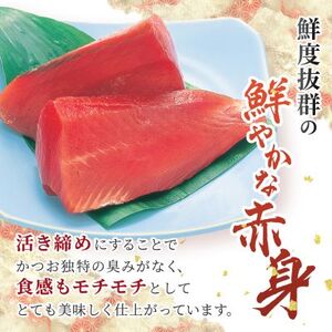 本場枕崎 一本釣り ぶえん鰹セット 800g HACCP認定工場 甘露タレ付き A3-307_魚介・海産物 カツオ 鮮魚 かつお 鰹_【配送不可地域：離島】【1167025】