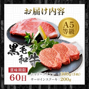 A5等級黒毛和牛(シャトーブリアン＆サーロインステーキ) C7-3_牛肉 肉 お肉 シャトーブリアン サーロイン ステーキ 霜降り 焼肉 BBQ バーベキュー 黒毛和牛 ヒレ 赤身 人気 おすすめ 鹿児島県産_【配送不可地域：離島】【1166309】