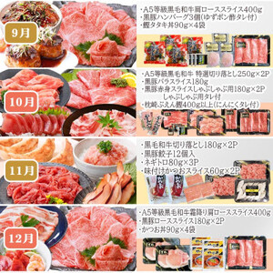 定期便(12回配送)お楽しみ便(A5等級黒毛和牛・黒豚・かつお・まぐろ・さつまあげ等)JJ-6002_肉 お肉 牛肉 サーロイン ステーキ 焼肉 ハンバーグ 切り落とし 豚肉 ロース バラ しゃぶしゃぶ 餃子 鰹_【配送不可地域：離島】【1166755】